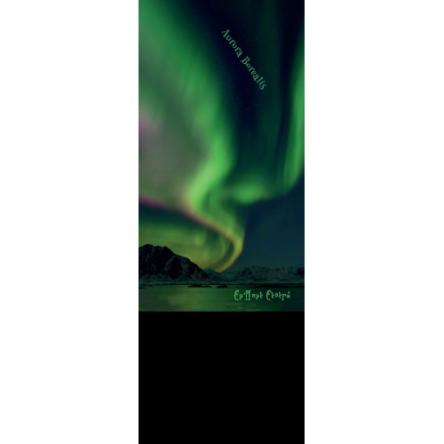 Бандана-труба с флисом Терра Северное сияние / Aurora Borealis зелёная 11416