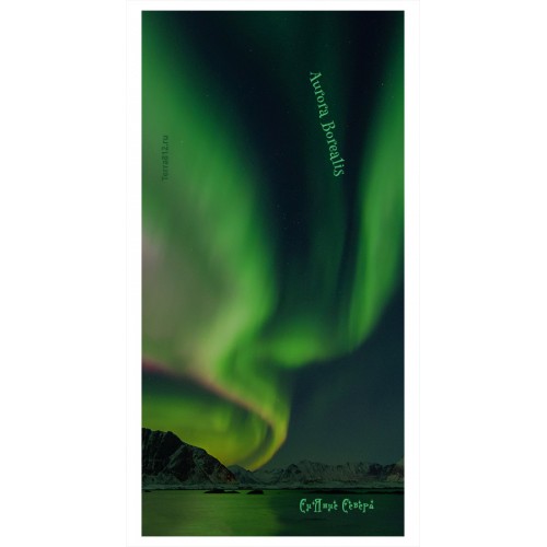 Бандана-труба Терра Северное сияние / Aurora Borealis зелёная 11383
